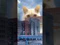 巨大化するニャ