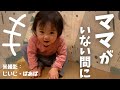 【じいじ・ばあば撮影】ママがいない間にハマった新種のいないいないばぁ遊びで大はしゃぎ (Peek-a-boo!!)