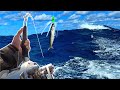 Tunas were biting in a rough ocean outer banks tuna fishing