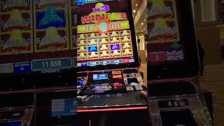 EGT BELL LINK FULL SCREEN BELLS JACKPOT HANDPAY MEGA WIN BOOOOM💥 #lasvegas #usa #donate #like #hit screenshot 2