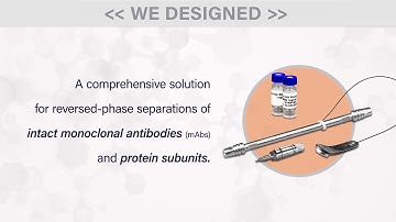 BioResolve RP mAb Polyphenyl Columns for Protein Separations