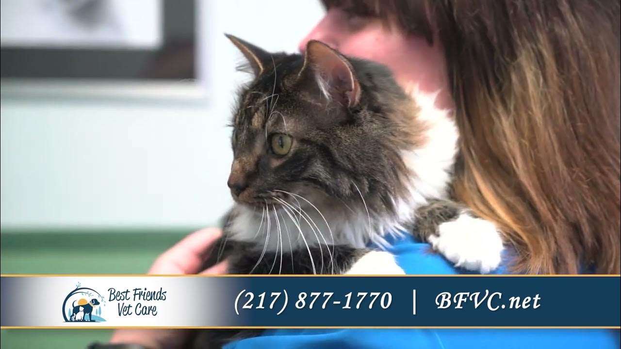 Best Friends Vet Care 30 Commercial Ad 2023 YouTube
