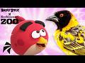 Red Meets The Village Weaver 🐤 | Angry Birds Feathery Friends at Korkeasaari Zoo