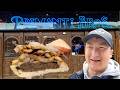 Trying the Original STUFFED Sandwich! Is Primanti Bros. Worth the Hype?