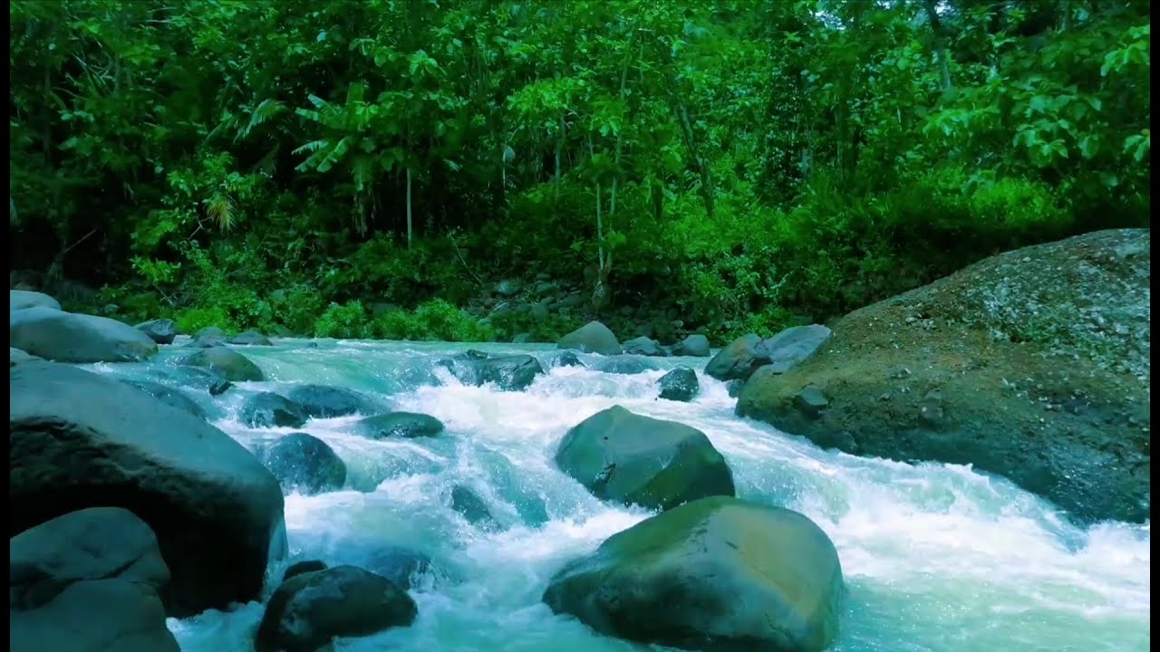 Beautiful Relaxing River  Nature Sounds Sleep Meditation Study Stress Relief Mindfulness