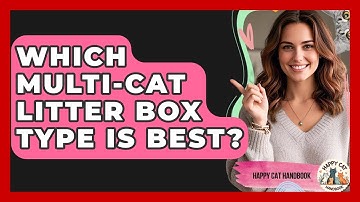Which Multi-Cat Litter Box Type Is Best? - Happy Cat Handbook