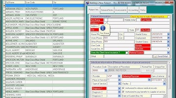 DELPHI/PBS Intro to Adding a Client.avi