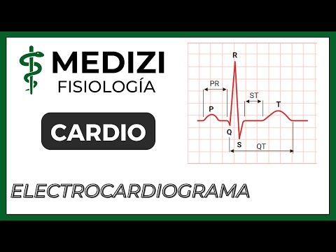 Vídeo: Validación De Registros De Frecuencia Cardíaca Derivados De ECG En Bacalao Del Atlántico (Gadus Morhua L.) Con Un Sistema De Registro De Datos Implantable