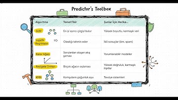 Makine Öğrenmesi Algoritmaları | Machine Learning Algorithms Explained