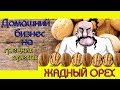 Домашний Ореховый Бизнес/"Жадный" орех.