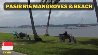 Walking In Singapore: Mangrove Boardwalk And Pasir Ris Beach (Feb 2022)