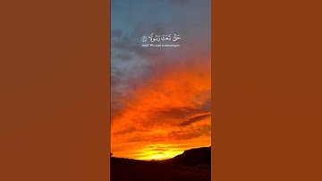 تلاوة خاشعة تأسر القلوب بصوت خالد الجليل | جمال القرآن مع جمال الطبيعة وغروب الشمس! #quran #nature