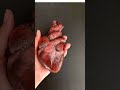 Real heart ❤️