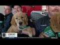 Guide Dog Fire Station Training