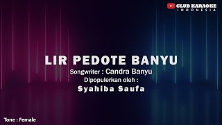 Lir Pedote Banyu - Syahiba Saufa I  Music Karaoke