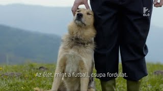 UEFA Champions League 2012 Intervalo - Ford & Unicredit HUN