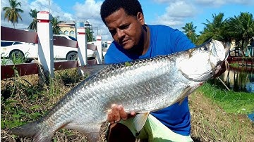 HOW to CATCH TARPON (cuffum) EASY WAY in GEORGETOWN GUYANA.