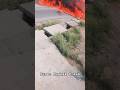 PAF, MFI-17 Super Mushak Crash😱😰 #shorts