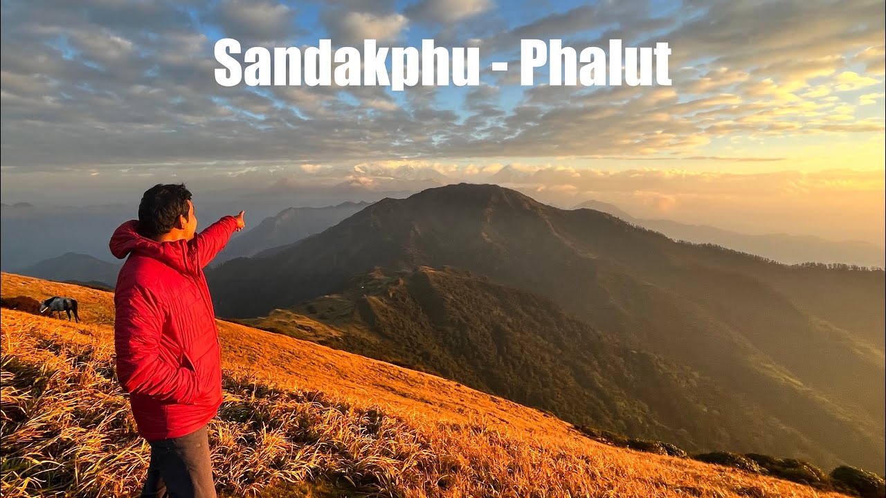 Sandakphu Phalut Trek | West Bengal Trek | Himalayan Trek