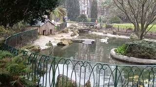 Plaza de Gipuzkoa cae con fuerza la Nieve