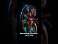 5 Kidney Warning Signs Over 60 That Most People Ignore #science #energy