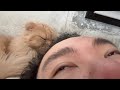 肉じゃが堪能したり、犬と猫堪能したり、白和え堪能したり。