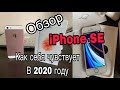 Обзор iPhone SE как он себя чувствует в 2020 году