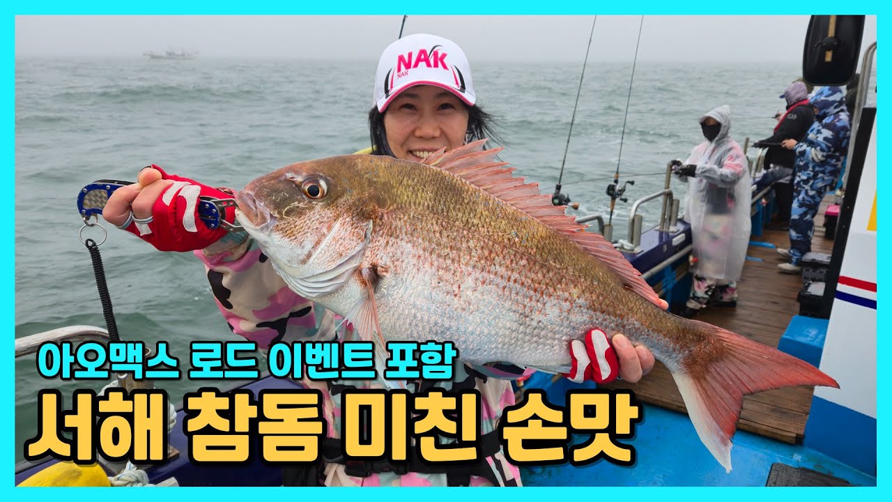 서해 6짜참돔 타이라바낚시 미친손맛! 아오맥스 패턴로드 이벤트포함