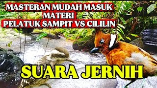 Masteran burung !!! Suara burung cililin dan pelatuk sampit super jernih