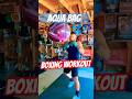 Aqua Bag Workout - Boxing Training - Home Garage Gym