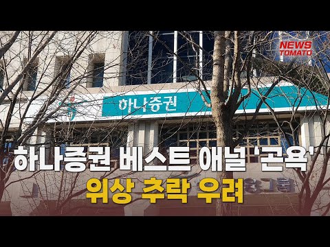   하나증권 베스트 애널리스트 위상이 추락하고 있다 말하는 기자들 경제 금융 0621