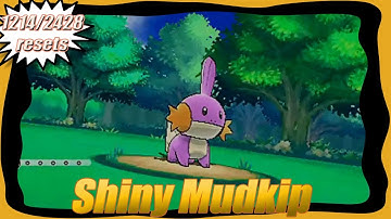 Live Shiny Mudkip - 1214/2428 soft resets - Pokemon Omega Ruby