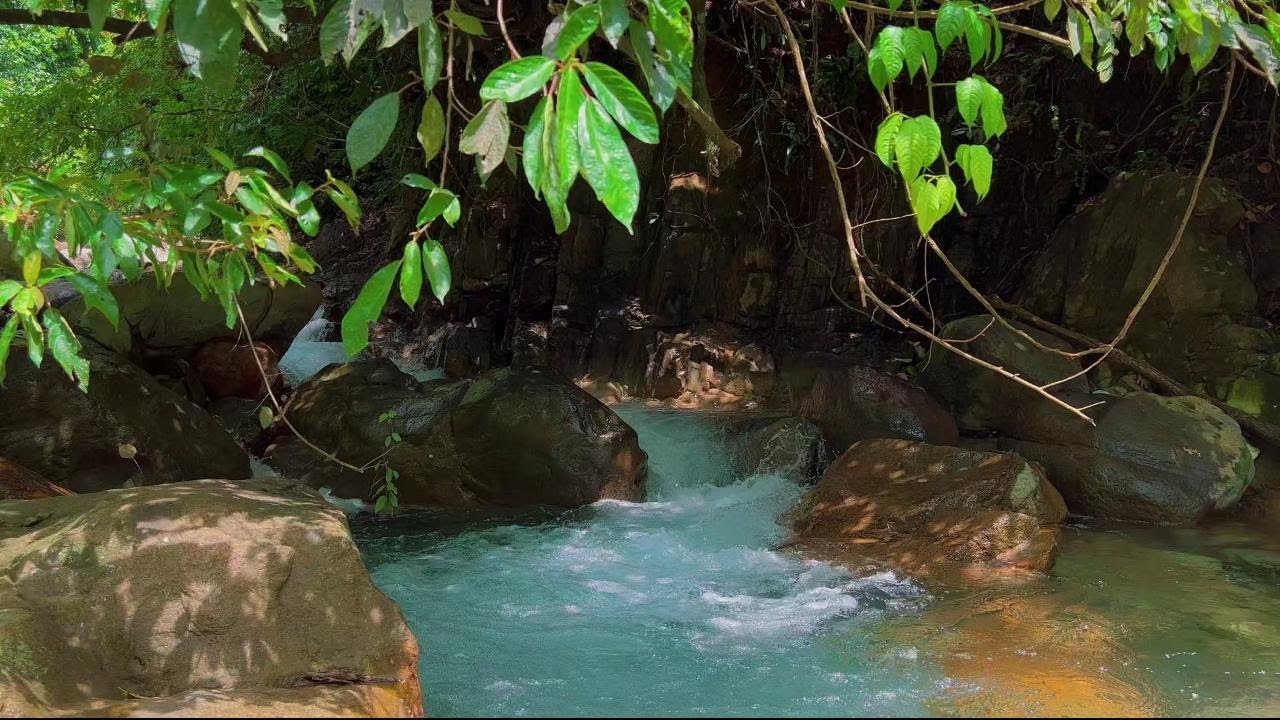 Peaceful River Water Ambience for Sleep | Stress Relief & Relaxing Nature Sounds All Night | 4K-HDR