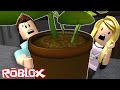 Roblox Hide And Seek With Denis Roblox Hide And Seek With Denis