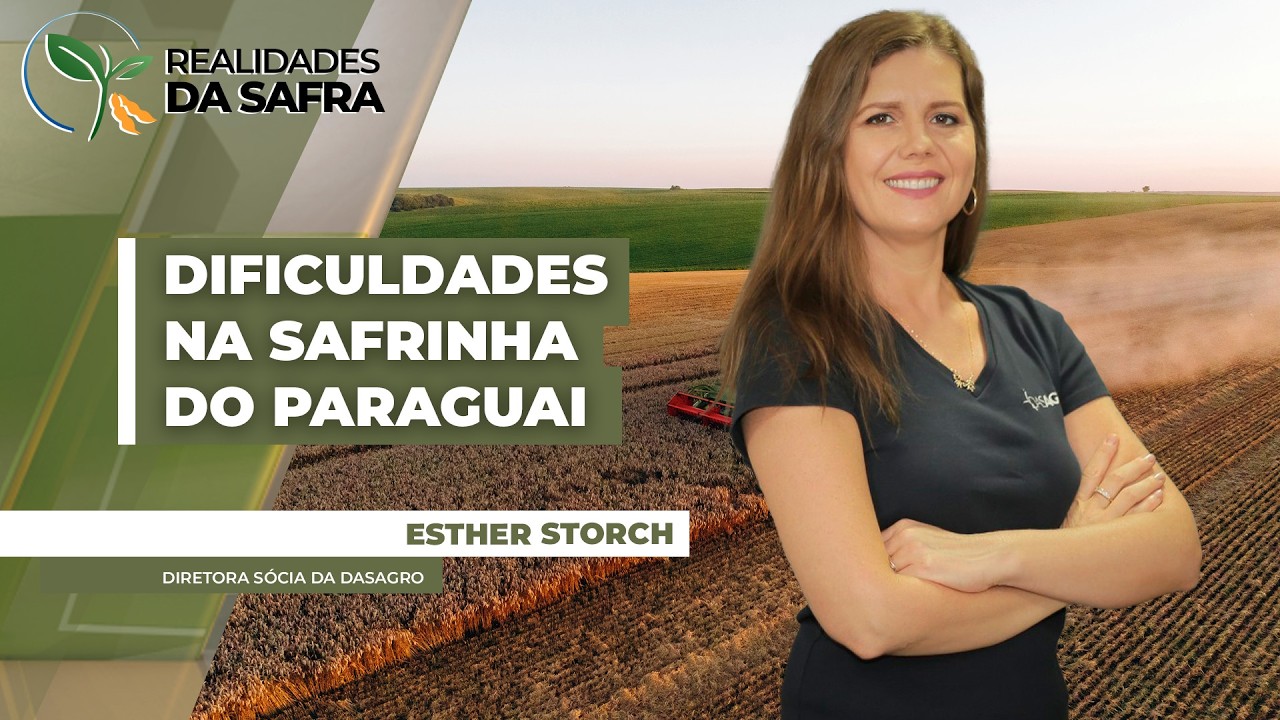 Paraguai deve fechar soja verão com 11 milhões de toneladas, mas enfrenta dificuldades na safrinha