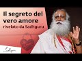 Sadhguru rivela il segreto del vero amore | Sadhguru Italiano