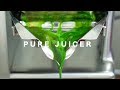 PURE JUICER // HYDRAULIC COLD PRESS JUICER