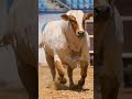 Nice 👍