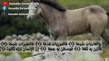 سورة العاديات الشيخ عامر الكاظمي  Surat Al-Adiat sh.Amer Al-Kazemi 2021 Kanaalka Quraanka Alle