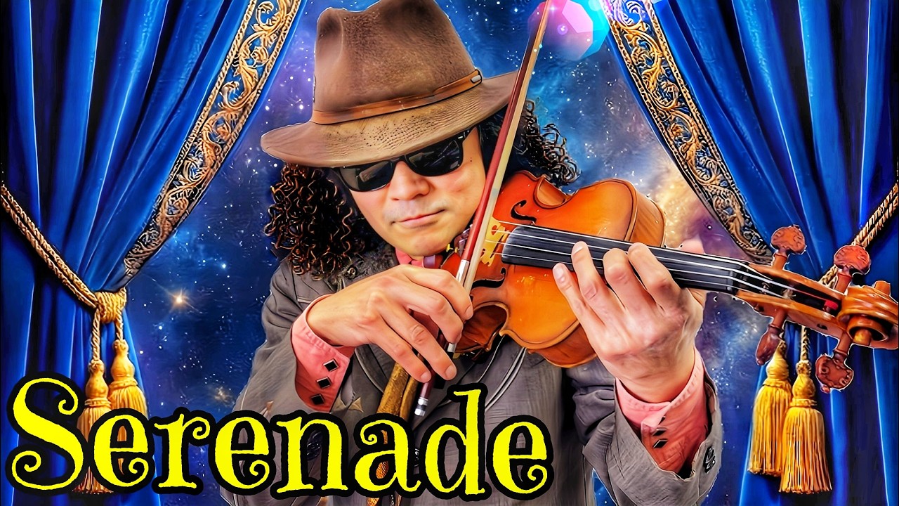 Franz Schubert - Serenade シューベルト作曲 セレナーデ 全盲のバイオリニスト穴澤雄介 #Violin