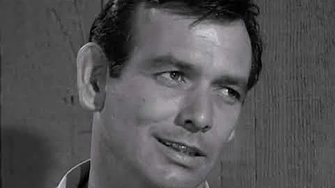 DAVID JANSSEN as THE FUGITIVE