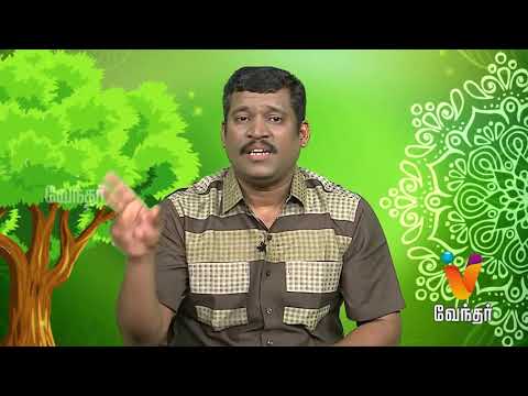 Foot cracks | பாத வெடிப்பு - Healer Baskar (28/02/2018) | [Epi-1277]