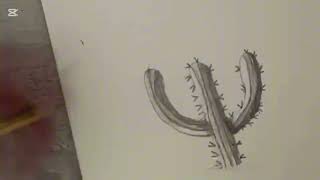 Cactus drawing