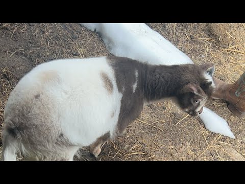 Гурьева deep as roots. Нам один месяц. Month to go. There are months in a year. Времена года на английском.