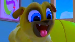 Nervous Puppy Dog Pals Intro