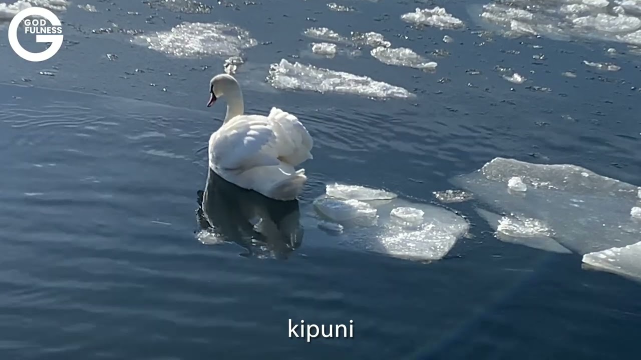 Godfulness-rentoutuminen. Jakso: Huolista kevyempiin ajatuksiin.