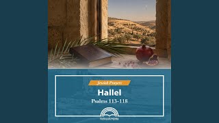 Psalm 116