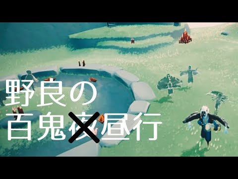 ノリの良い野良は面白い【sky星を紡ぐ子どもたち】