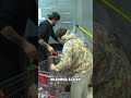 Secret Food Heist: No Cooking Tomorrow! #shorts