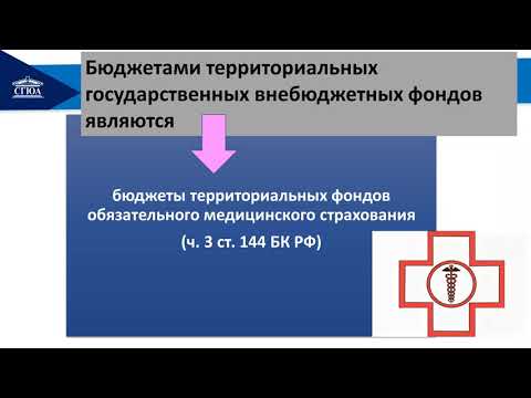 Государственные внебюджетные фонды